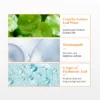 5_ca2d1640-7d3e-444c-acd2-8f1937bc2d76_700x.webp Dr. Althea – Sérum Doux à la Vitamine C 20%