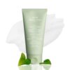 ABIB-FOAM-CLAENSER-1.jpg Abib Acne Foam Cleanser Heartleaf Foam 150ml