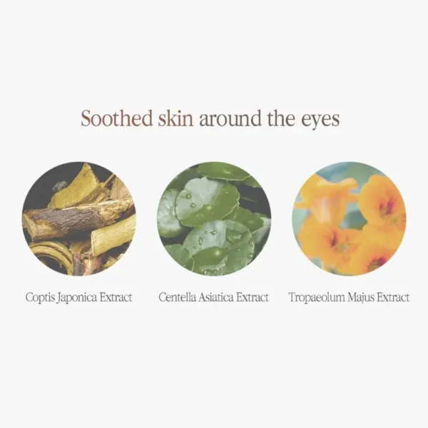 Pyunkang Yul Black Tea Time Reverse Eye Cream 25ml