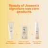 IMG_4458.jpeg Beauty of Joseon Sun Master Trio