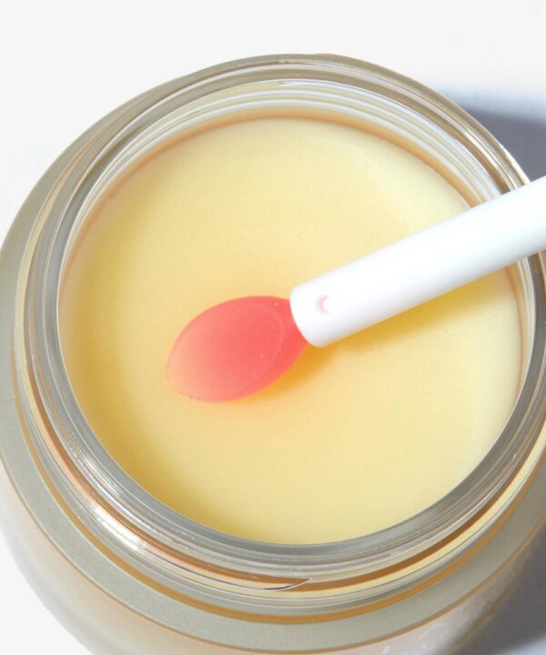 LANE0006F_2.jpg LANEIGE Lip Sleeping Mask 20g Réf Vanilla