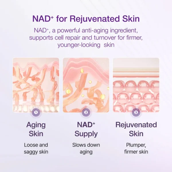 numbuzin No.9 NAD Bio Lifting-sil Essence 50ML